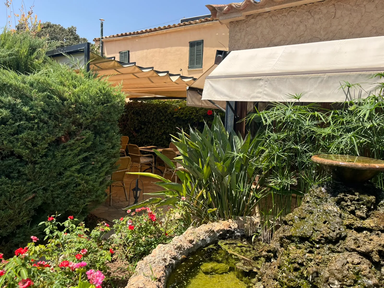 Rincón del jardín con estanque de piedra