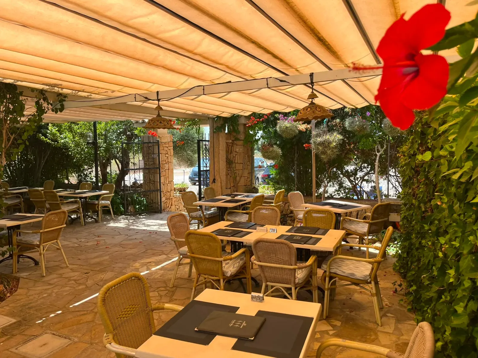 Terraza del jardín con hibisco en flor