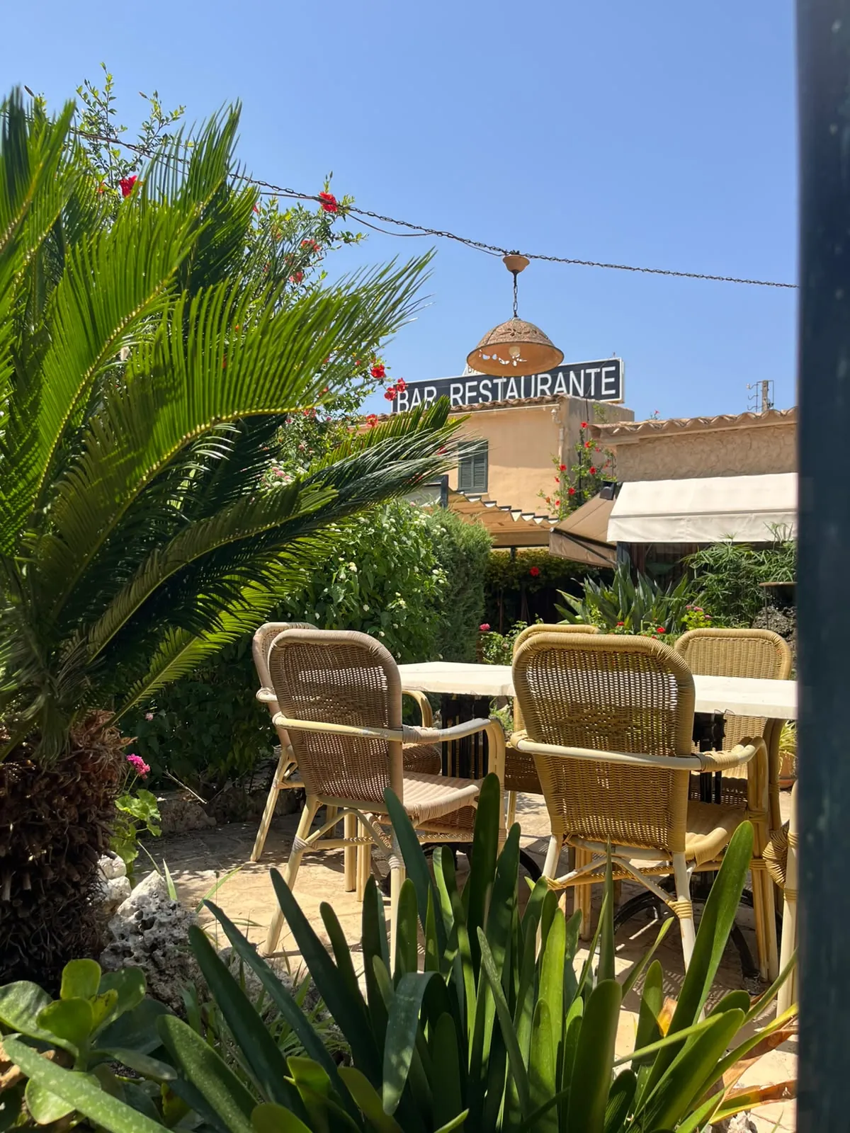 Mesas de la terraza entre palmeras